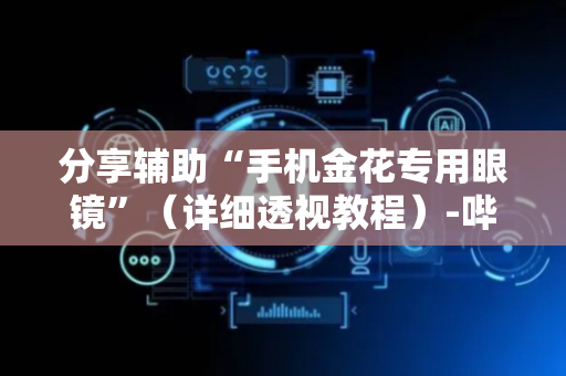 分享辅助“手机金花专用眼镜”（详细透视教程）-哔哩哔哩