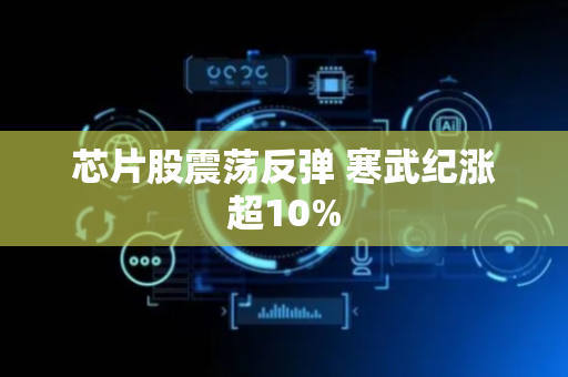 芯片股震荡反弹 寒武纪涨超10%