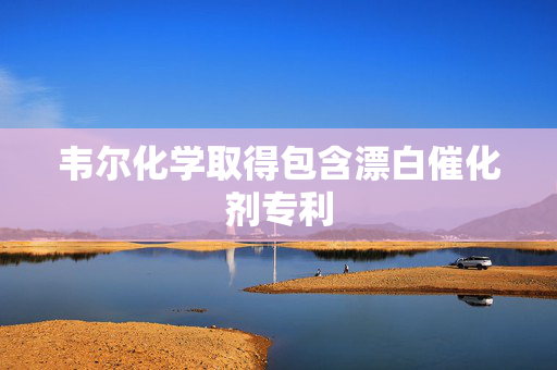 韦尔化学取得包含漂白催化剂专利