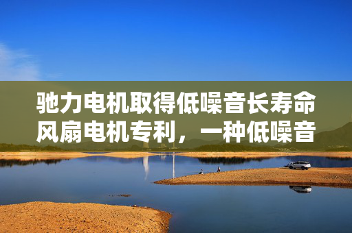 驰力电机取得低噪音长寿命风扇电机专利，一种低噪音长寿命风扇电机