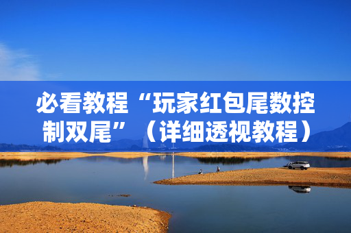 必看教程“玩家红包尾数控制双尾”（详细透视教程）-哔哩哔哩