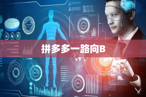 拼多多一路向B