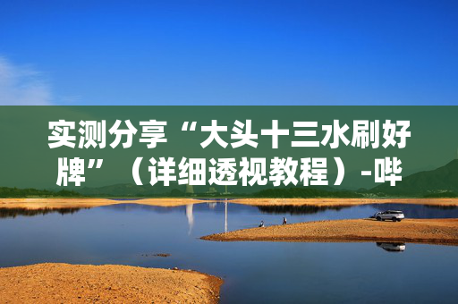 实测分享“大头十三水刷好牌”（详细透视教程）-哔哩哔哩