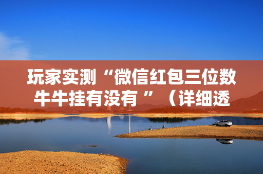 玩家实测“微信红包三位数牛牛挂有没有 ”（详细透视教程）-哔哩哔哩