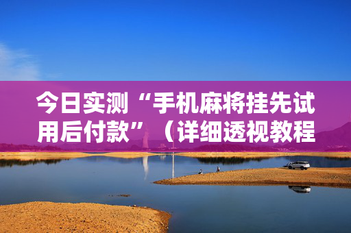 今日实测“手机麻将挂先试用后付款”（详细透视教程）-哔哩哔哩