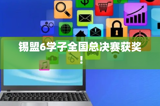 锡盟6学子全国总决赛获奖！