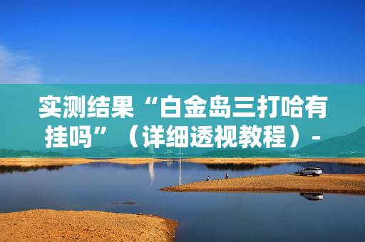 实测结果“白金岛三打哈有挂吗”（详细透视教程）-哔哩哔哩