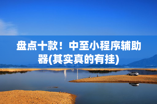 盘点十款！中至小程序辅助器(其实真的有挂)