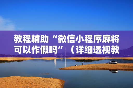 教程辅助“微信小程序麻将可以作假吗”（详细透视教程）-哔哩哔哩