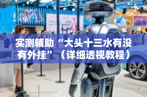 实测辅助“大头十三水有没有外挂”（详细透视教程）-哔哩哔哩