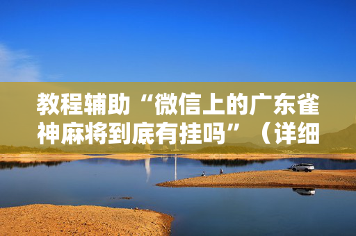 教程辅助“微信上的广东雀神麻将到底有挂吗”（详细透视教程）-哔哩哔哩