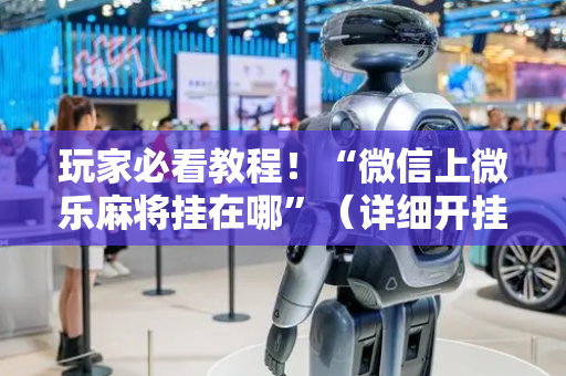 玩家必看教程！“微信上微乐麻将挂在哪”（详细开挂教程）-哔哩哔哩