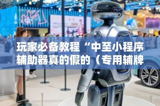 玩家必备教程“中至小程序辅助器真的假的（专用辅牌神器免安装）