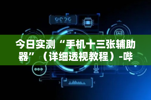 今日实测“手机十三张辅助器”（详细透视教程）-哔哩哔哩