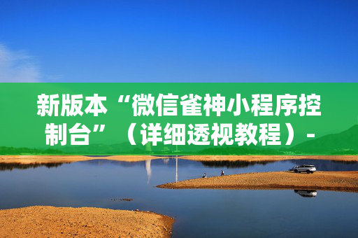 新版本“微信雀神小程序控制台”（详细透视教程）-哔哩哔哩