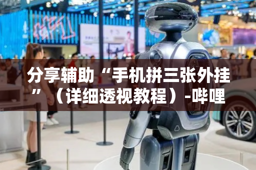 分享辅助“手机拼三张外挂”（详细透视教程）-哔哩哔哩