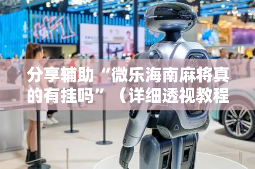 分享辅助“微乐海南麻将真的有挂吗”（详细透视教程）-哔哩哔哩