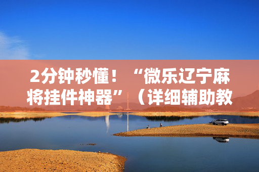 2分钟秒懂！“微乐辽宁麻将挂件神器”（详细辅助教程）-哔哩哔哩