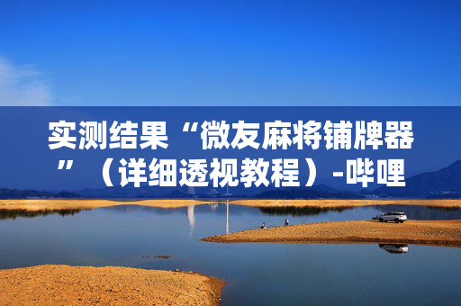 实测结果“微友麻将铺牌器”（详细透视教程）-哔哩哔哩