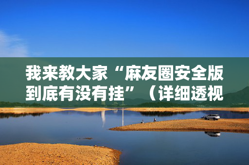 我来教大家“麻友圈安全版到底有没有挂”（详细透视教程）-哔哩哔哩