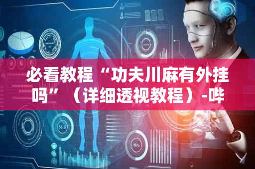 必看教程“功夫川麻有外挂吗”（详细透视教程）-哔哩哔哩
