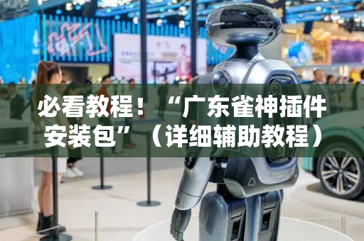 必看教程！“广东雀神插件安装包”（详细辅助教程）-哔哩哔哩