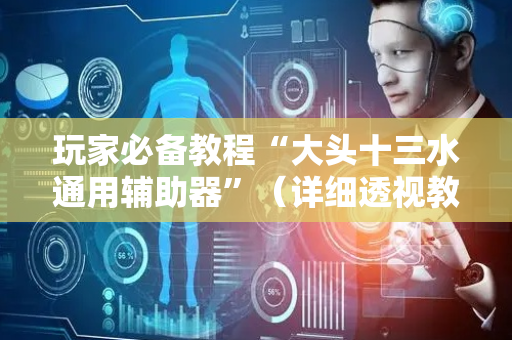 玩家必备教程“大头十三水通用辅助器”（详细透视教程）-哔哩哔哩