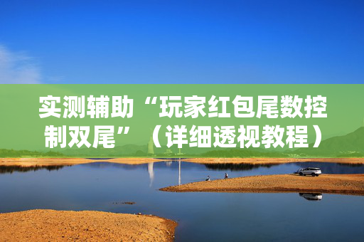 实测辅助“玩家红包尾数控制双尾”（详细透视教程）-哔哩哔哩