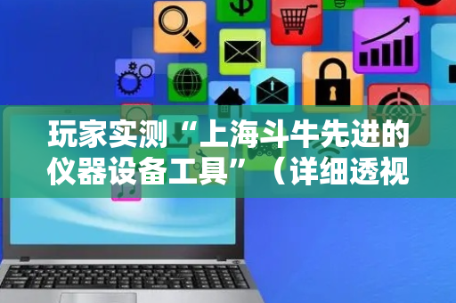 玩家实测“上海斗牛先进的仪器设备工具”（详细透视教程）-哔哩哔哩