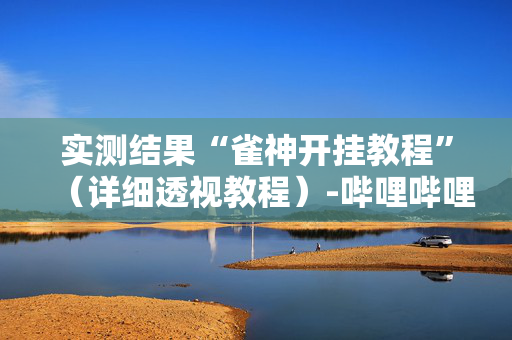 实测结果“雀神开挂教程”（详细透视教程）-哔哩哔哩