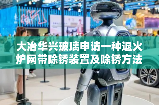 大冶华兴玻璃申请一种退火炉网带除锈装置及除锈方法专利，高效地去除网带上的锈迹