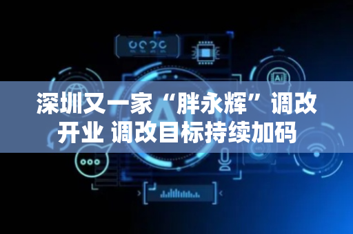 深圳又一家“胖永辉”调改开业 调改目标持续加码