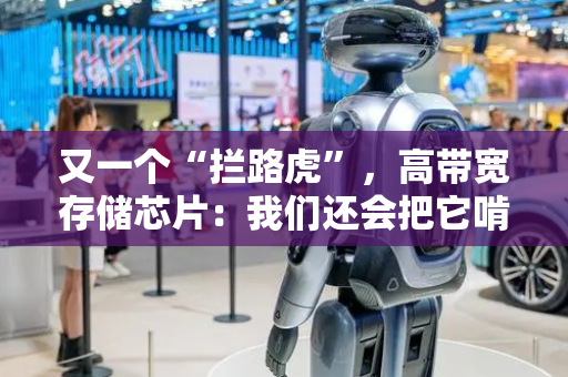 又一个“拦路虎”，高带宽存储芯片：我们还会把它啃下来！