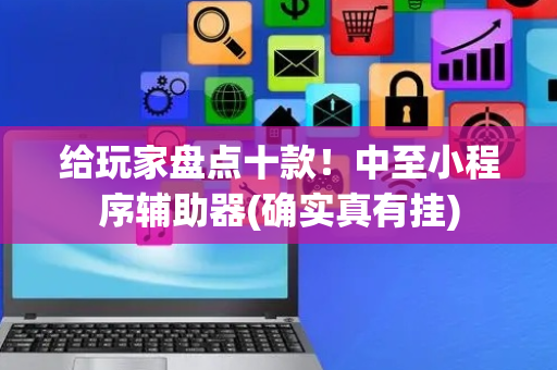 给玩家盘点十款！中至小程序辅助器(确实真有挂)