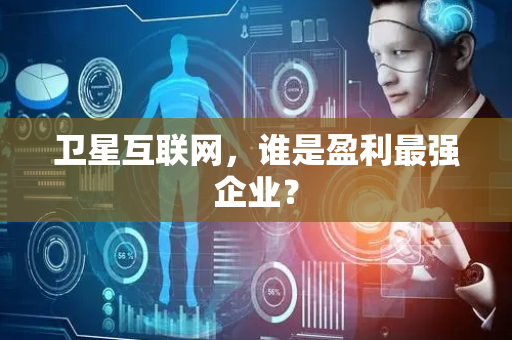 卫星互联网，谁是盈利最强企业？