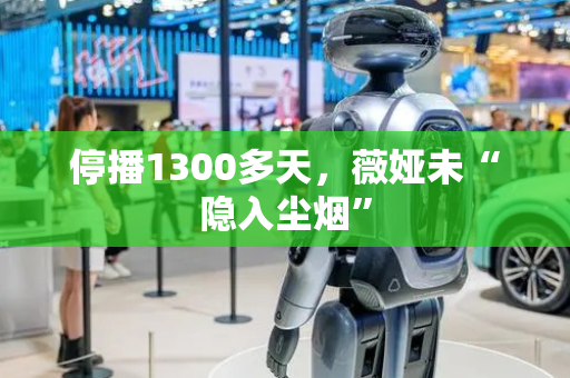 停播1300多天，薇娅未“隐入尘烟”