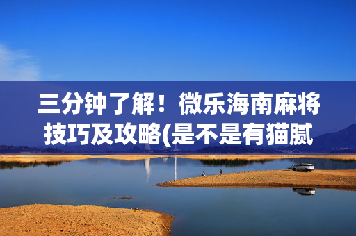 三分钟了解！微乐海南麻将技巧及攻略(是不是有猫腻)