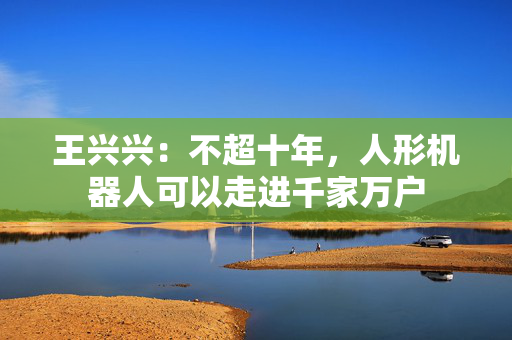 王兴兴：不超十年，人形机器人可以走进千家万户