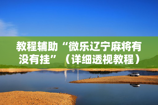 教程辅助“微乐辽宁麻将有没有挂”（详细透视教程）-哔哩哔哩