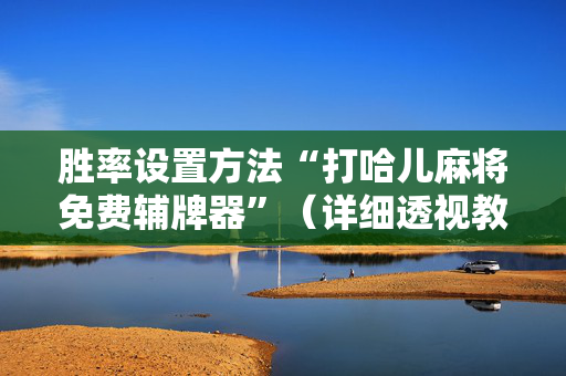 胜率设置方法“打哈儿麻将免费辅牌器”（详细透视教程）-哔哩哔哩