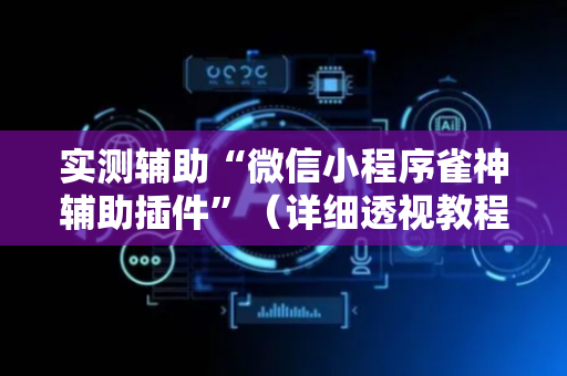 实测辅助“微信小程序雀神辅助插件”（详细透视教程）-哔哩哔哩
