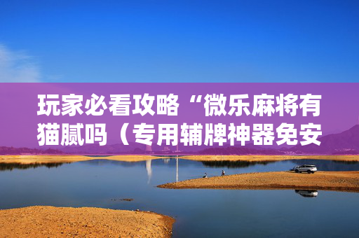 玩家必看攻略“微乐麻将有猫腻吗（专用辅牌神器免安装）