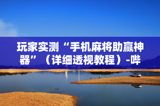 玩家实测“手机麻将助赢神器”（详细透视教程）-哔哩哔哩