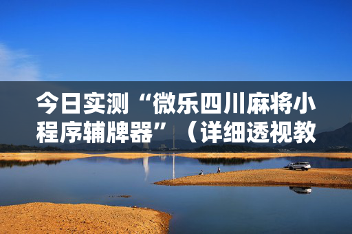 今日实测“微乐四川麻将小程序辅牌器”（详细透视教程）-哔哩哔哩
