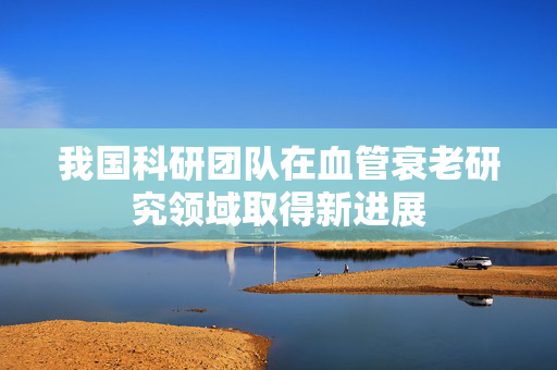 我国科研团队在血管衰老研究领域取得新进展