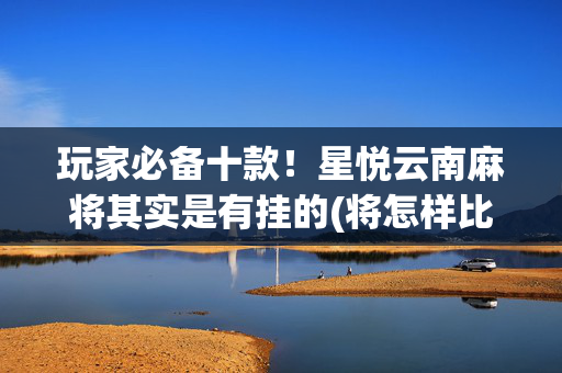 玩家必备十款！星悦云南麻将其实是有挂的(将怎样比较容易赢)