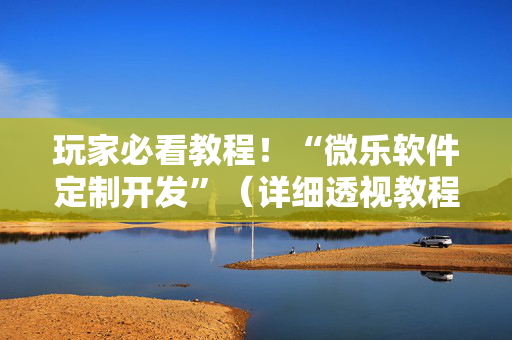 玩家必看教程！“微乐软件定制开发”（详细透视教程）-哔哩哔哩