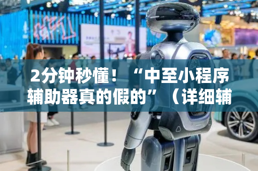 2分钟秒懂！“中至小程序辅助器真的假的”（详细辅助教程）-哔哩哔哩