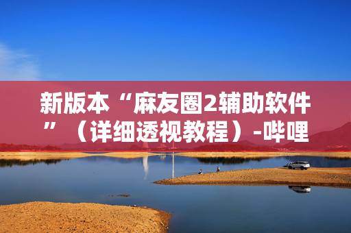 新版本“麻友圈2辅助软件”（详细透视教程）-哔哩哔哩