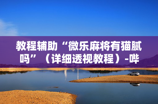教程辅助“微乐麻将有猫腻吗”（详细透视教程）-哔哩哔哩